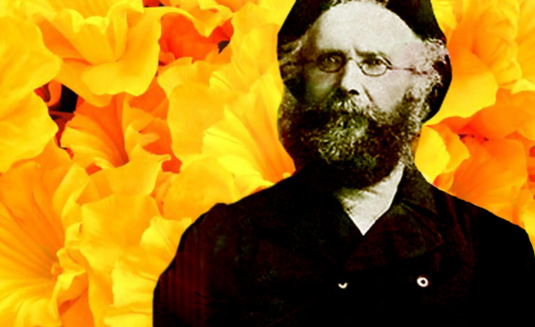 The Amazing Peter Barr | Daffodil King