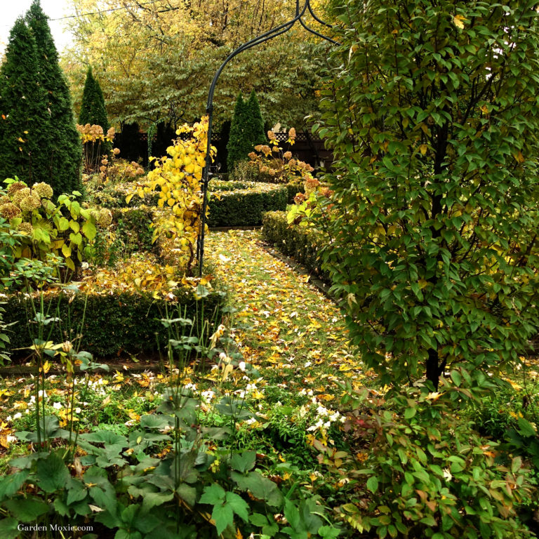 The November 2018 Garden