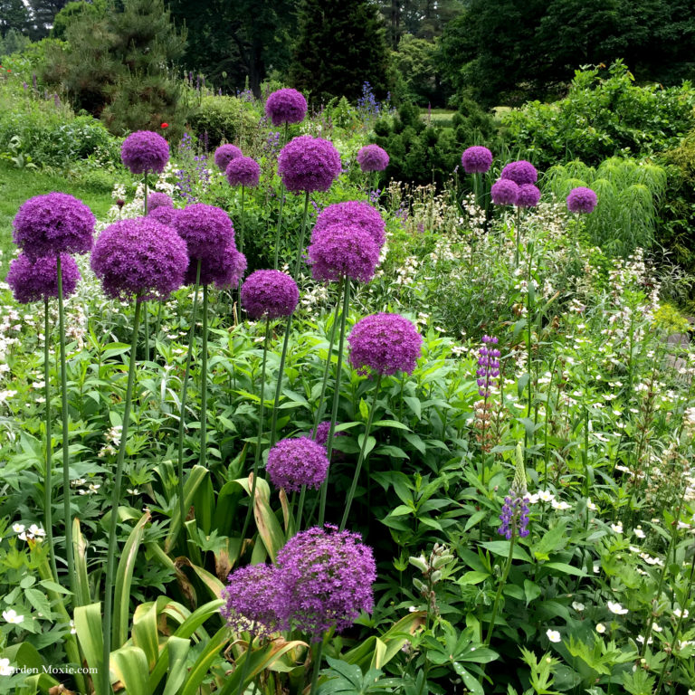 3 Epic Design Takeaways from Chanticleer Garden