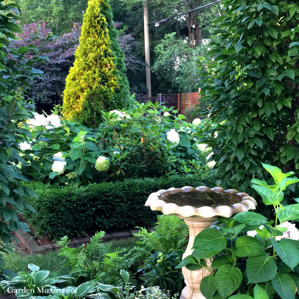 Libertiny garden summer 2019 bird bath 2000px