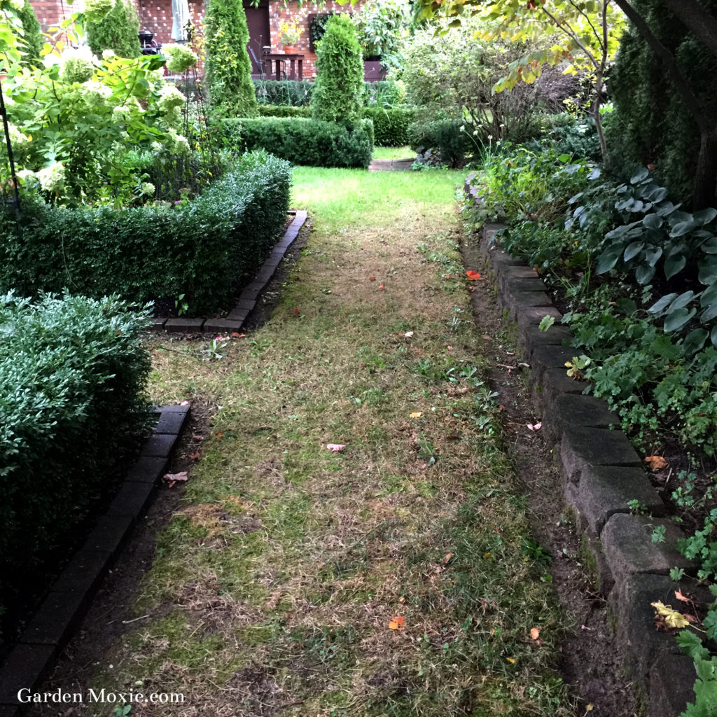 Libertiny garden summer 2019 south side garden2 2000px