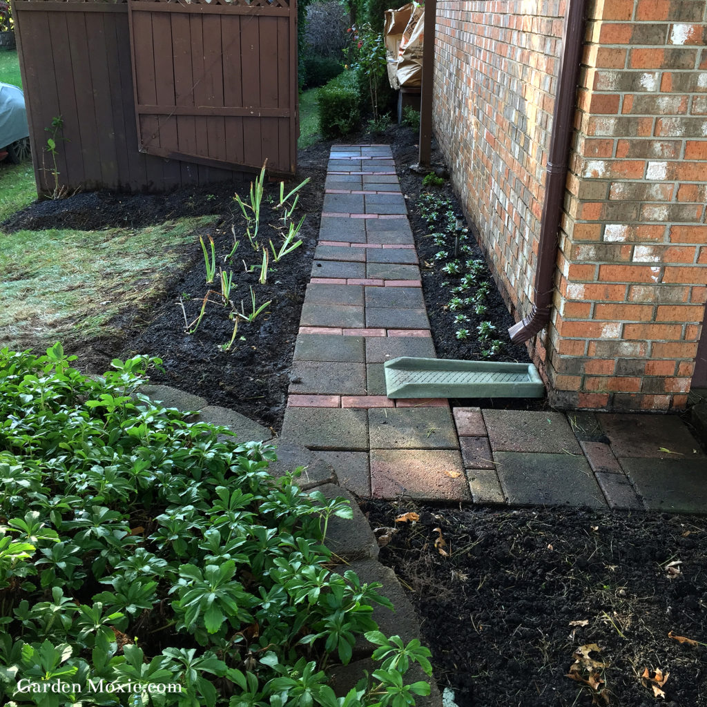 Updated sideyard path