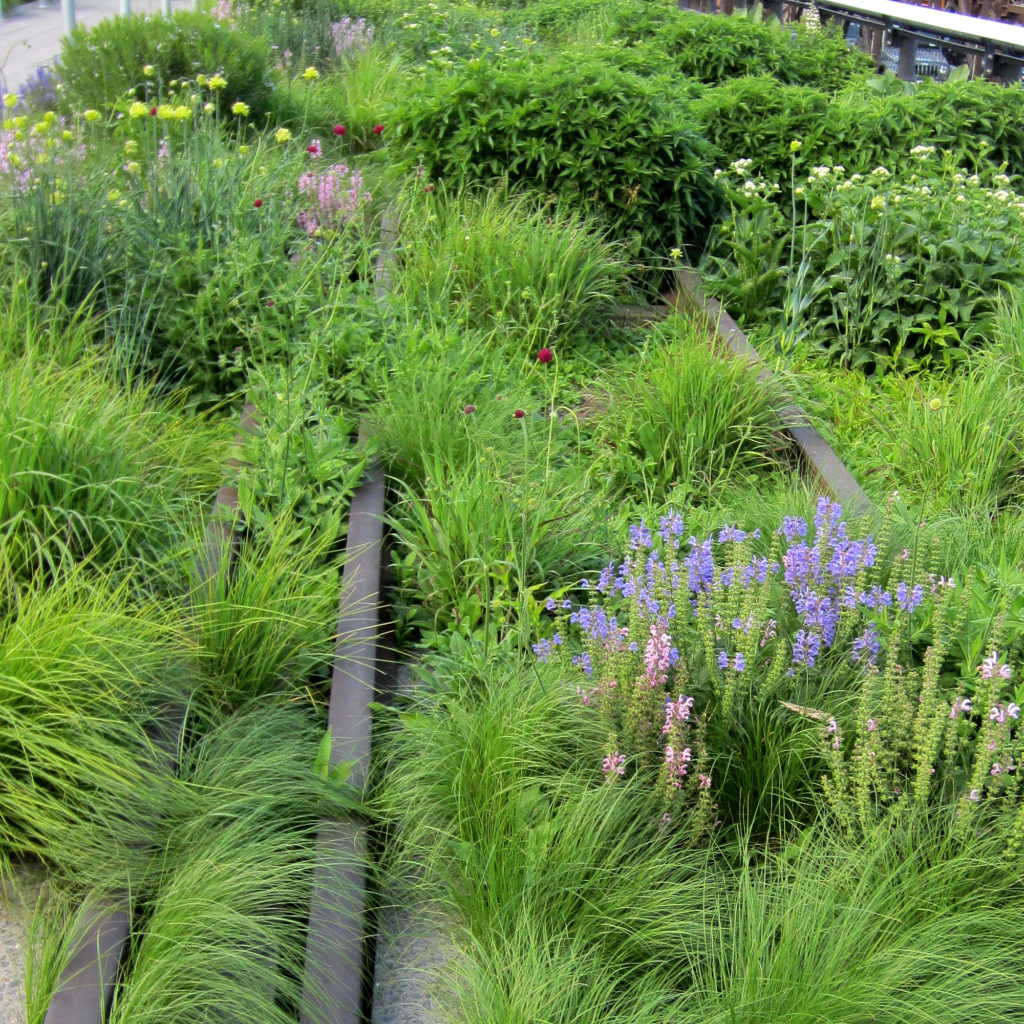 High Line New York City 2014 14 wiki commons photo by Another Believer 2000px