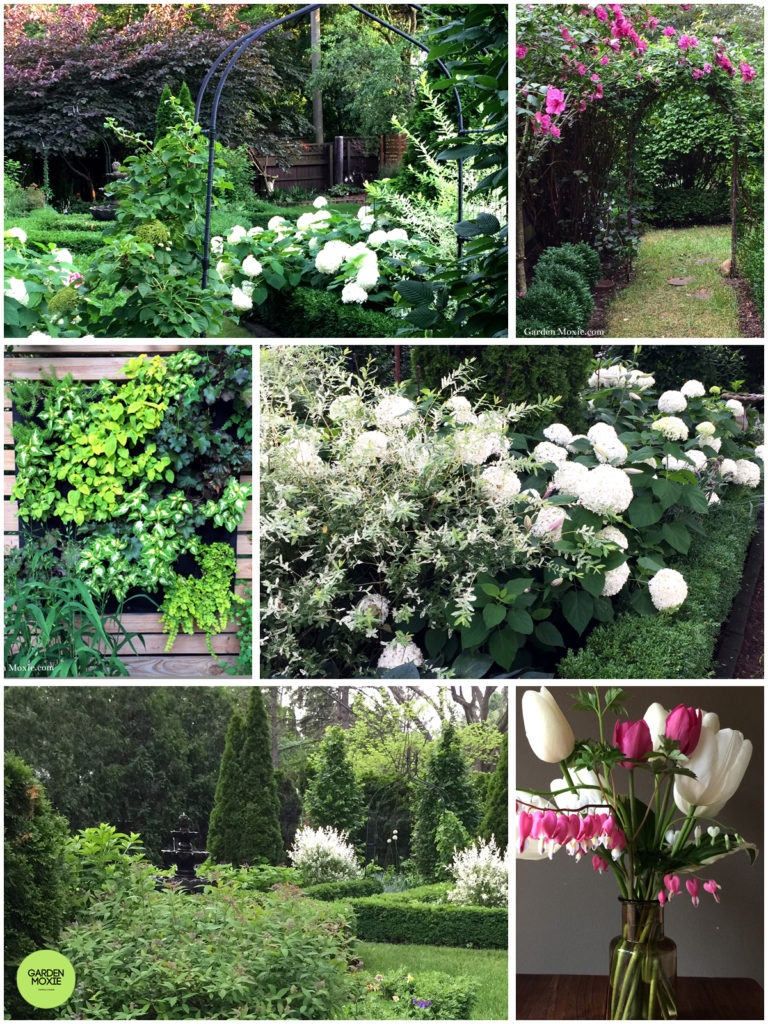 Libertiny Garden 2019 Collage