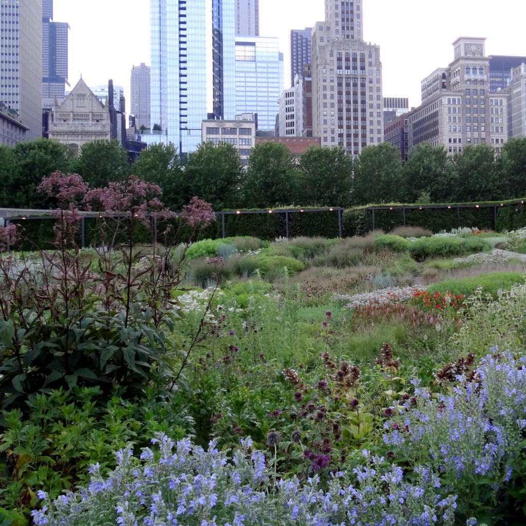 Lurie garden Millennium Park Chicago 2000px