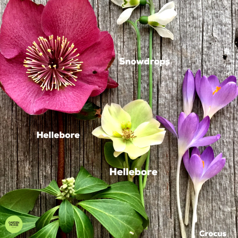 The April Garden To-Do List