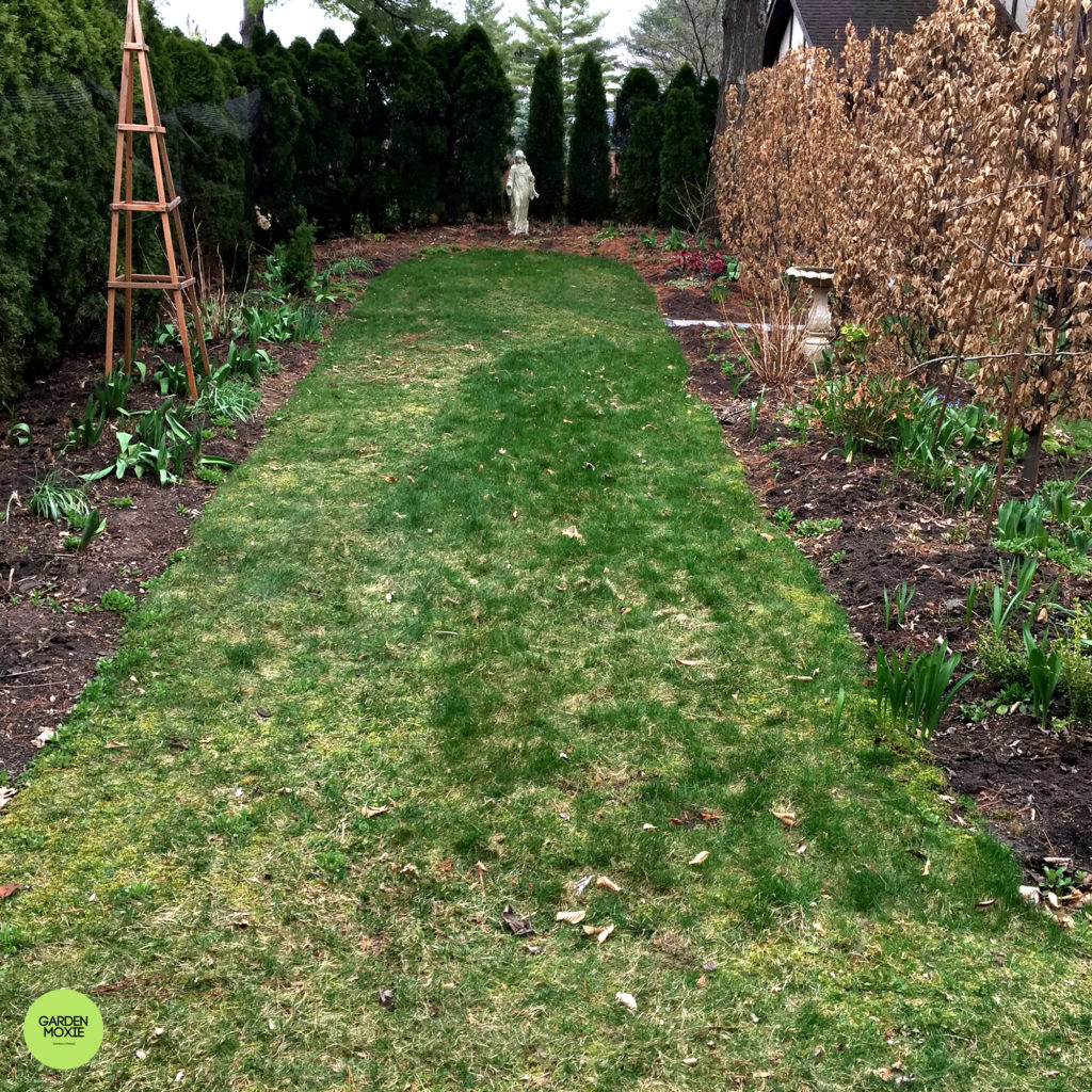 widen mary garden 2000px