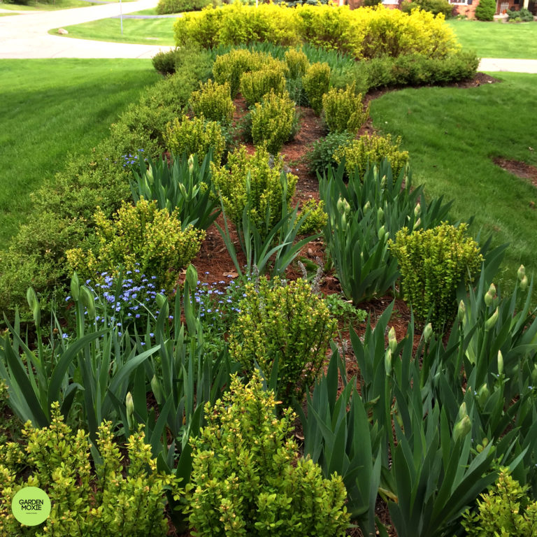 How to Quickly Fix Ugly Areas in Your Garden