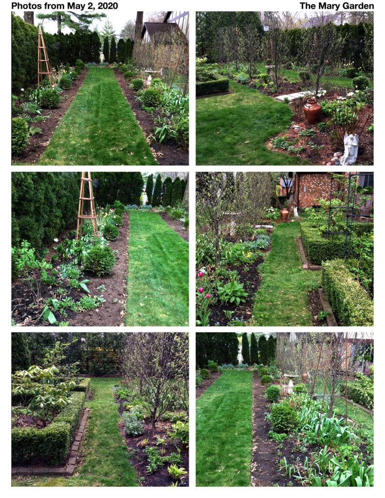 May 2 2020 Mary Garden
