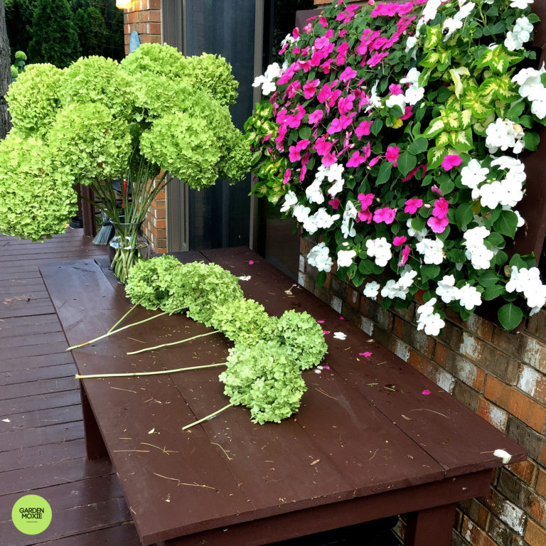 How To Install a Beautiful Vertical Garden