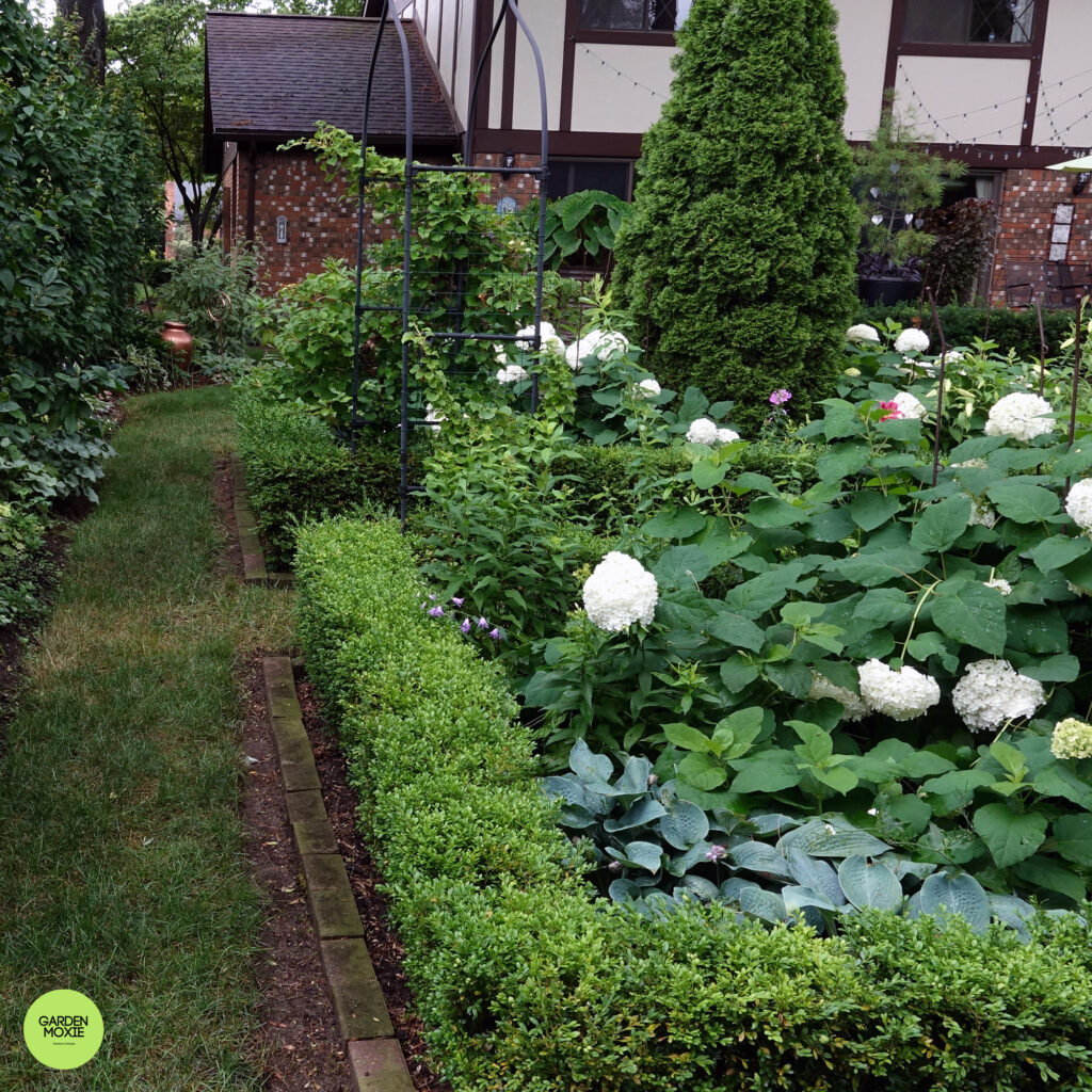 Backyard 1 Jul19 2020 2000px