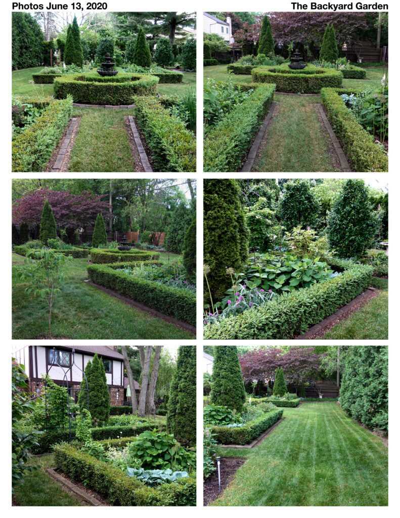 Backyard Garden template June 13 2020