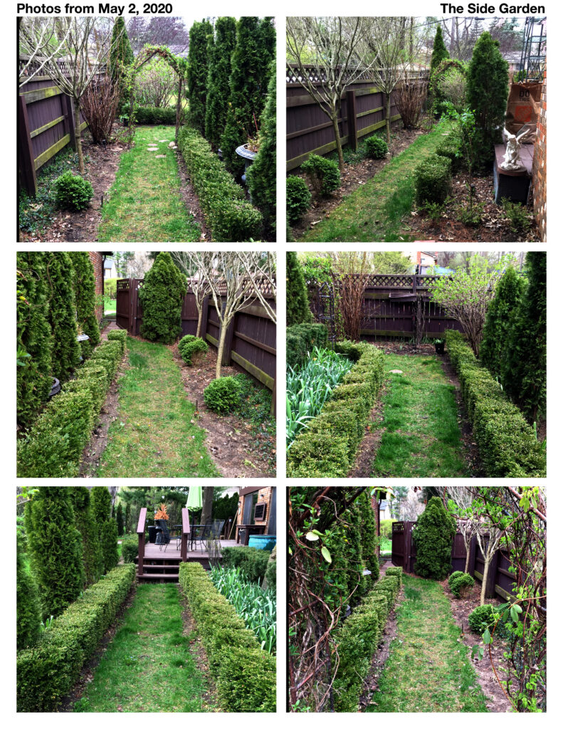 May 2 2020 Side Garden