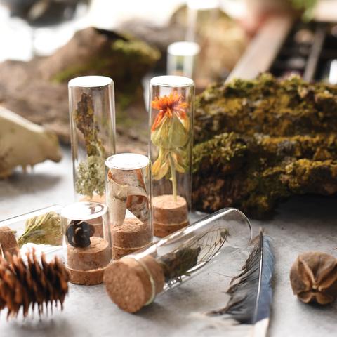 specimen collecting kit by june december3 large