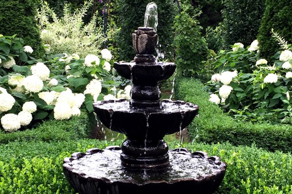 Garden Moxie Weekly