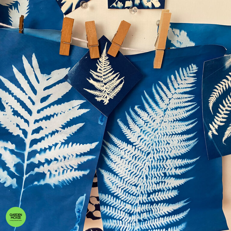How To Make Beautiful Cyanotypes