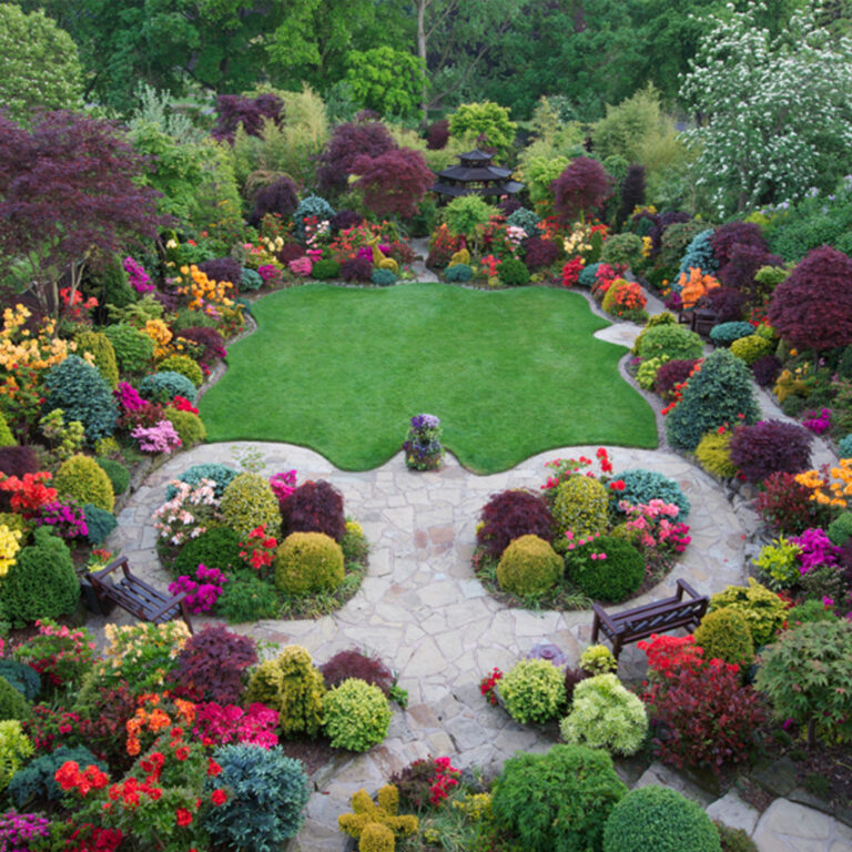 An Amazing Tiny Garden