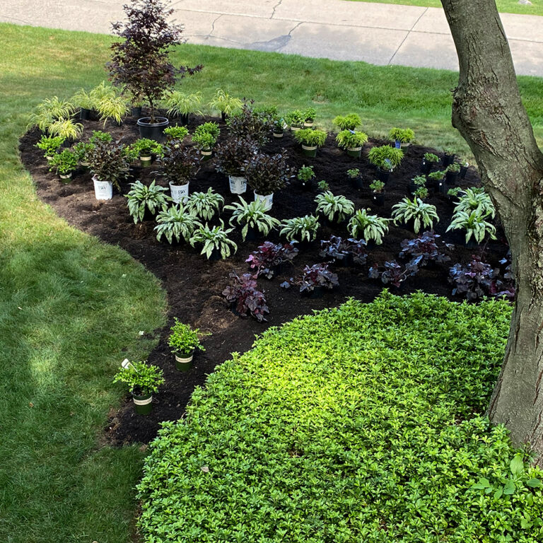 Creating an Island Border