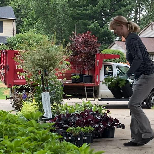 Gardener selecting plants