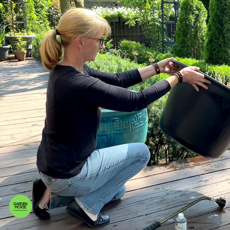 How To Create A Chanticleer-Inspired Water Feature