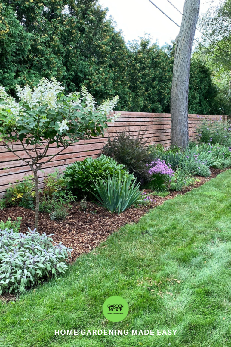 How To Create a Perennial Border from Scratch