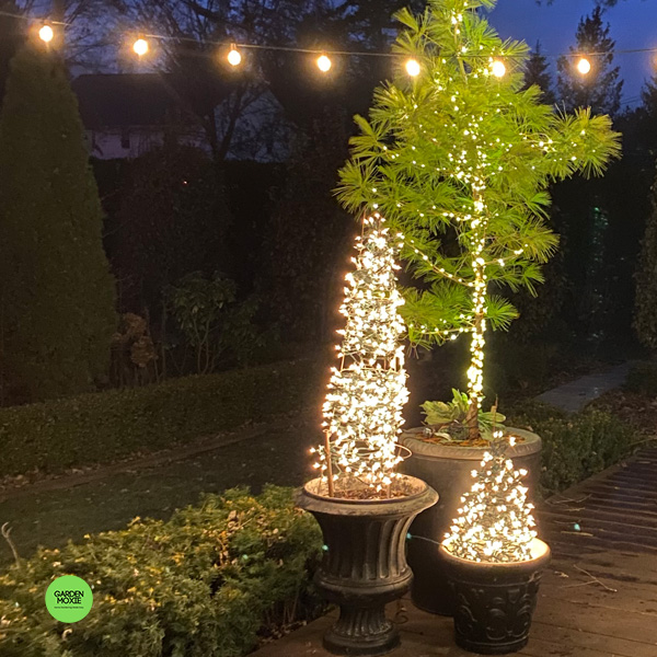 Terrain-inspired holiday light tree