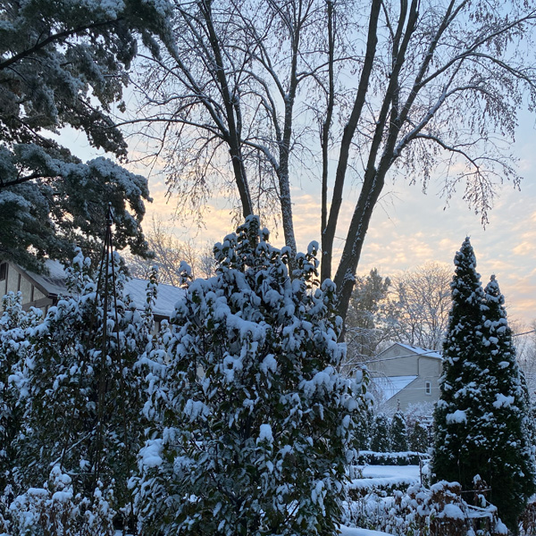 Winter garden structure