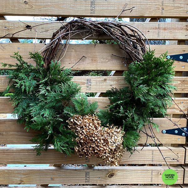 Arborvitae, hydrangea, and grapevine holiday wreath