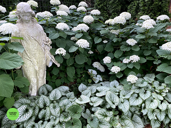 mary statue