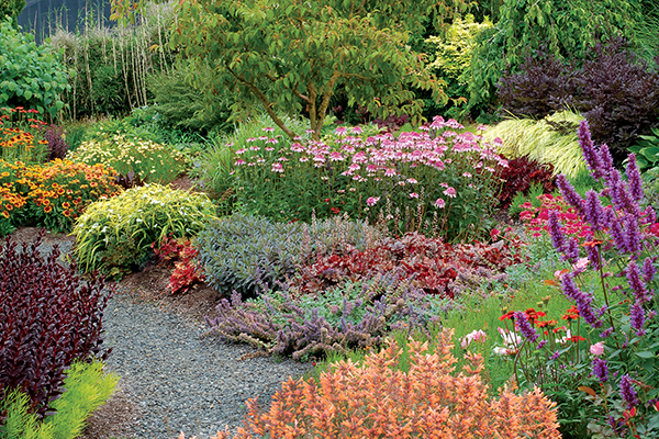 Beautiful flower garden