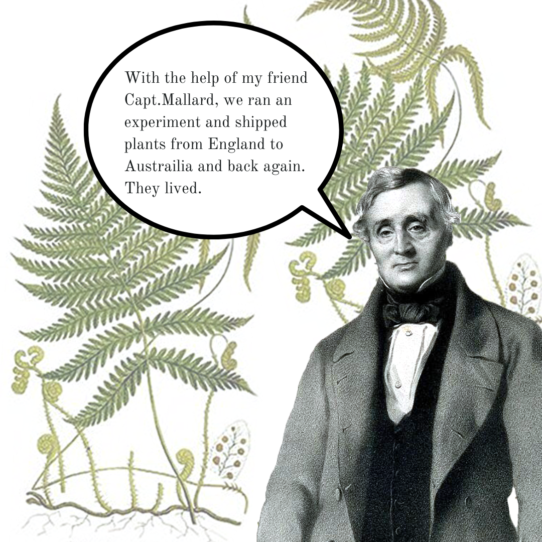 Nathaniel Ward 6