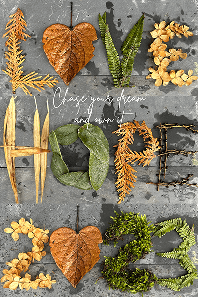 January 2023 Garden Moxie Newsletter