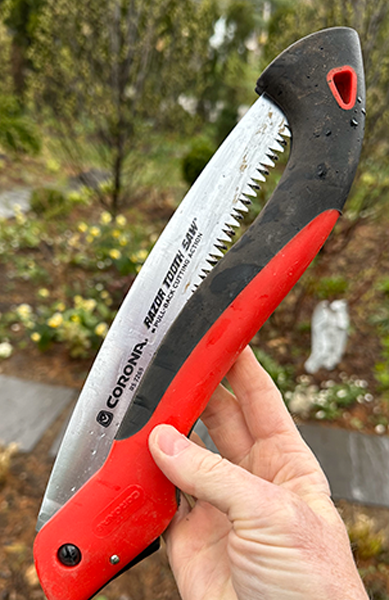 corona hand saw razor tooth