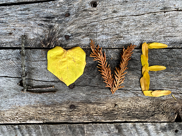 words made from leaves from my garden