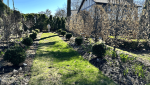 mary garden 600px