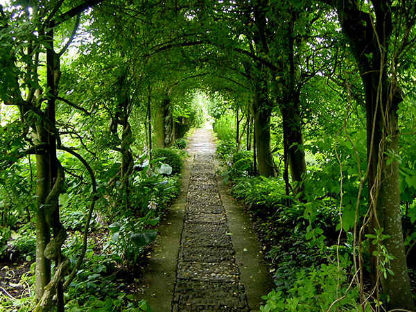 Vertical space used brilliantly at Barnsley House laburnum walk