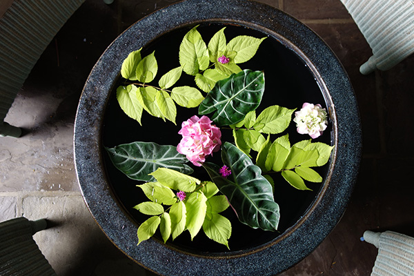 The Magic of Water Features in Garden Design
